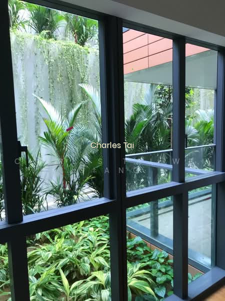 SOPHIA HILLS photo 3