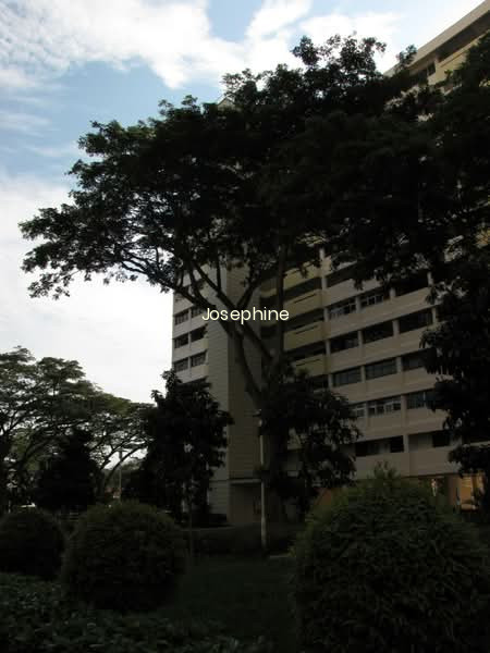 7 MARINE TERRACE photo 5
