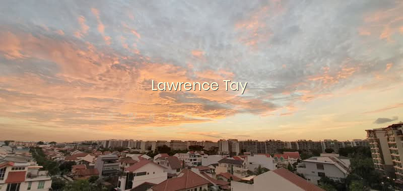 SUNHAVEN photo 3