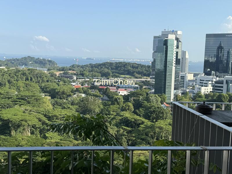 THE INTERLACE image 1 of 9