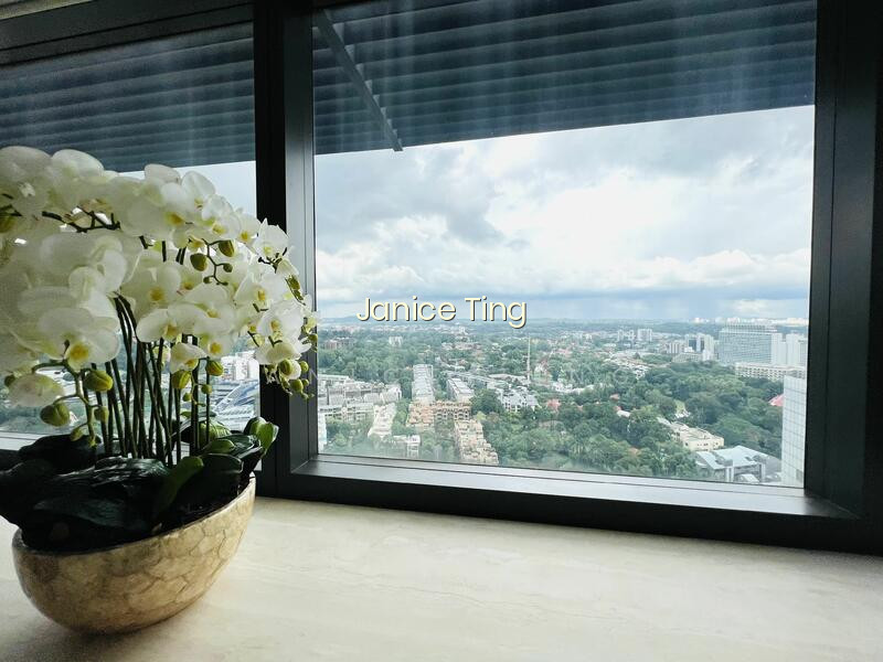 HANA photo 6
