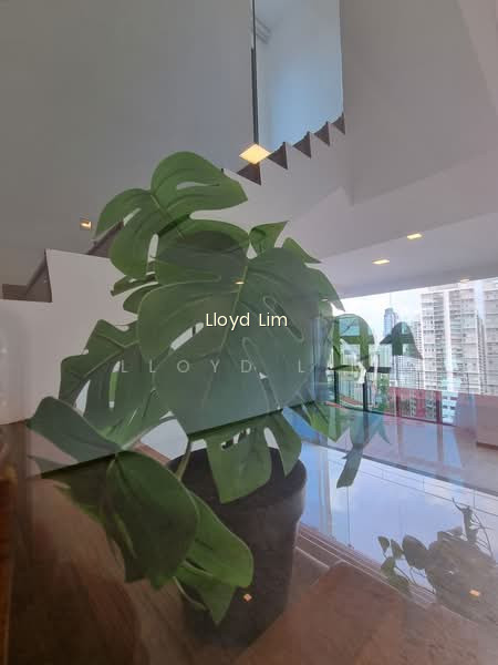 LEONIE GARDENS photo 5