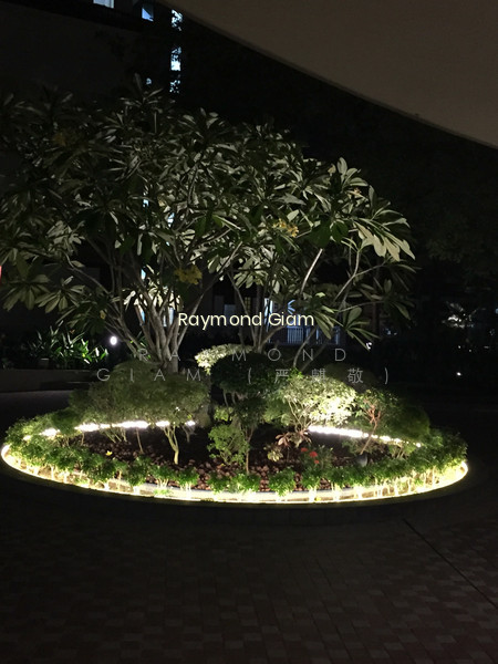 RESIDENCES @ EVELYN photo 6