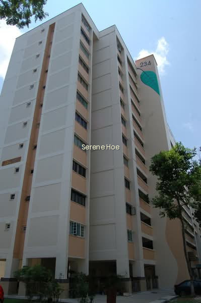 234 TAMPINES STREET 21 photo 6