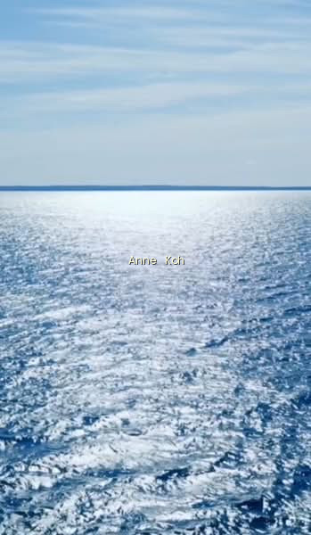 Meyer Blue image 1 of 8