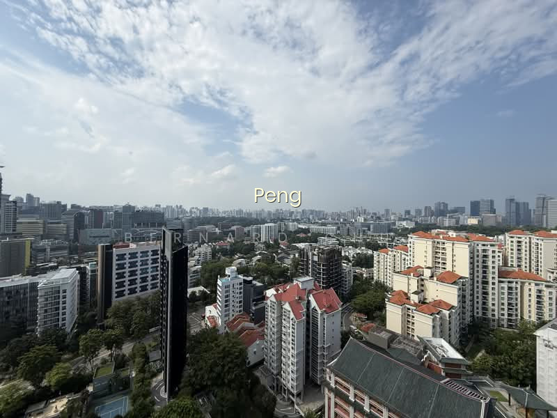 MARTIN PLACE RESIDENCES photo 3
