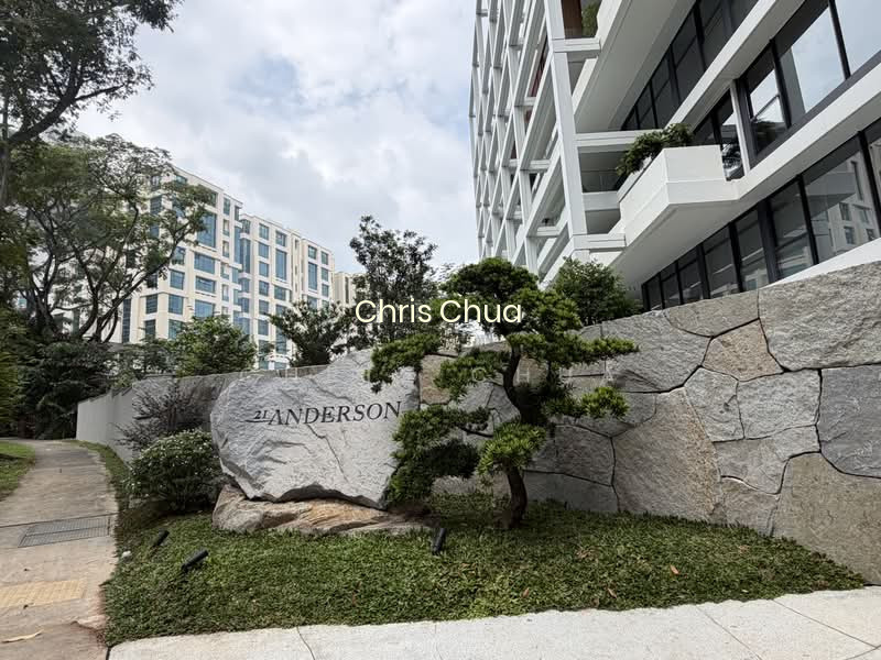 21 ANDERSON photo 2