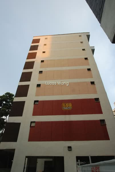 559 JURONG WEST STREET 42 photo 6