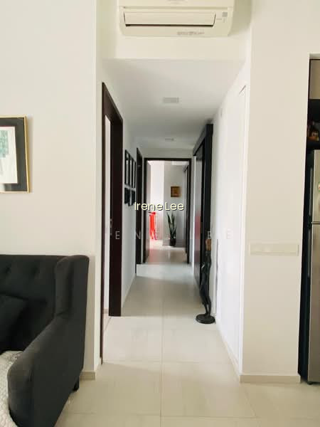 D'NEST photo 5
