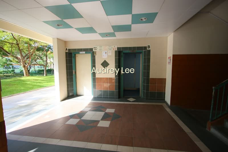 329 SERANGOON AVENUE 3 photo 4