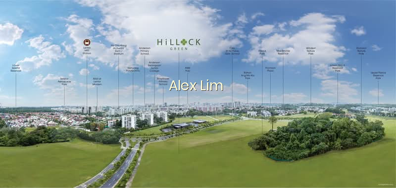 HILLOCK GREEN photo 2