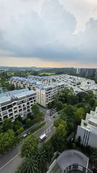 SKIES MILTONIA photo 6