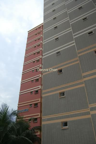 225 PASIR RIS STREET 21 photo 4