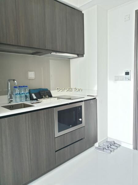 NORTH PARK RESIDENCES photo 2