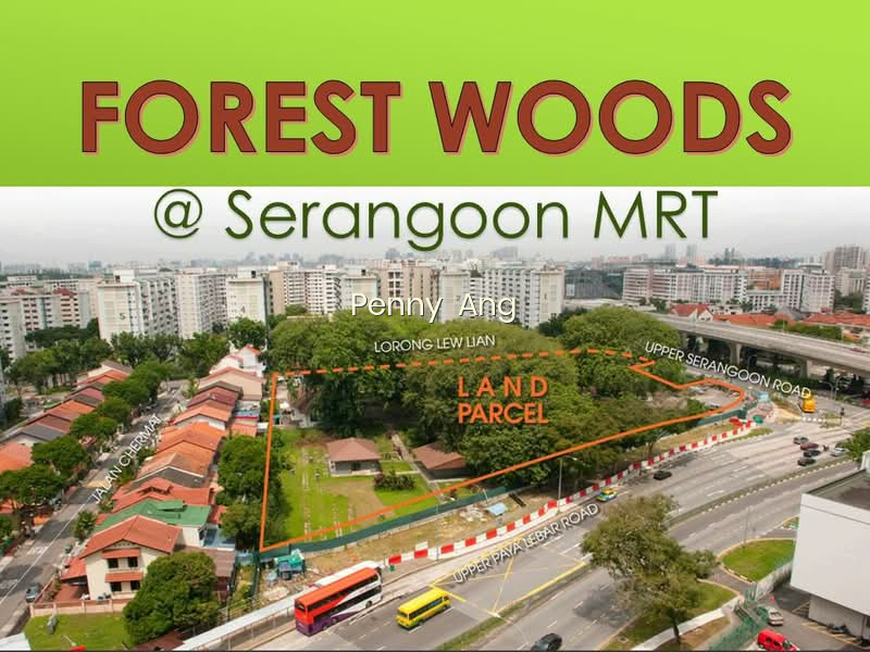 FOREST WOODS photo 6