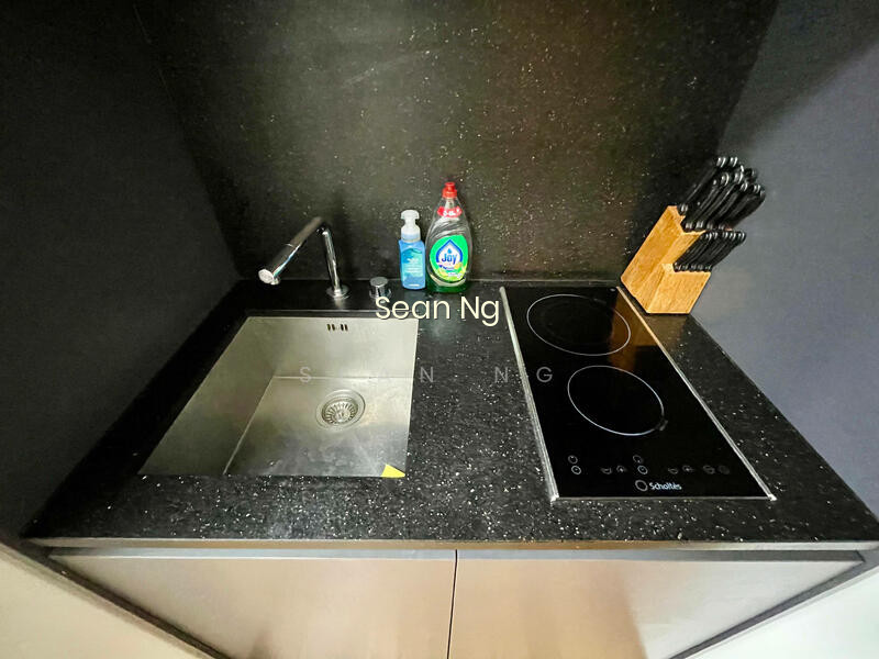 26 NEWTON photo 5