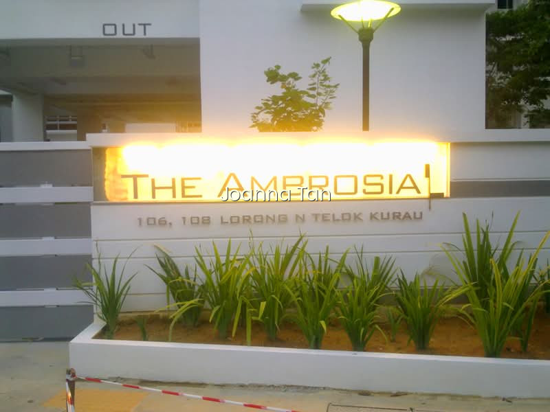 THE AMBROSIA photo 5