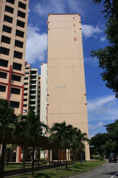661B JURONG WEST STREET 64 photo 6