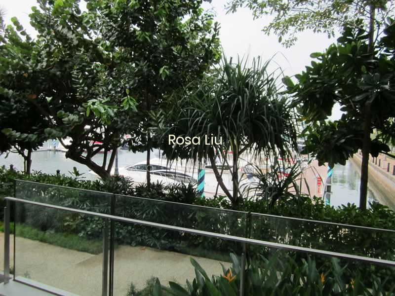 MARINA COLLECTION photo 6
