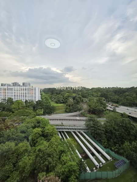 211 PETIR ROAD photo 3