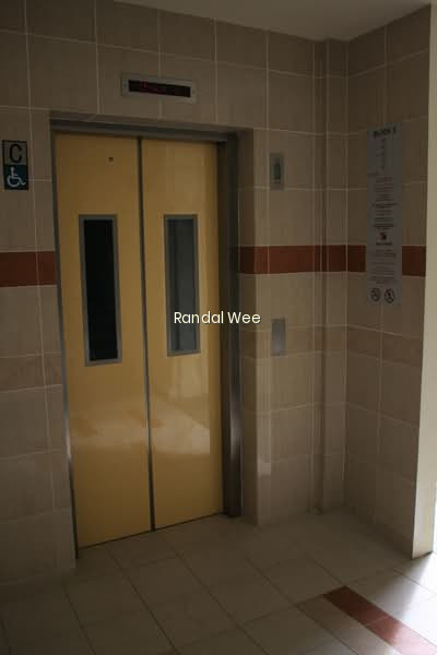 5 HAIG ROAD photo 6