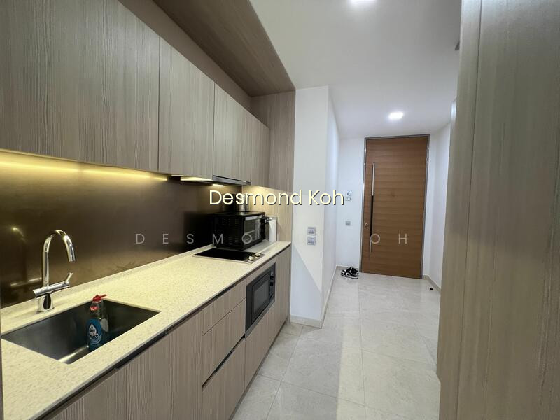 DUO RESIDENCES photo 6