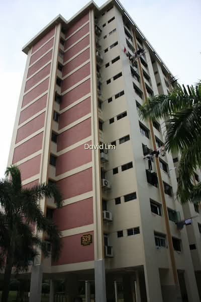 529 BEDOK NORTH STREET 3 photo 5