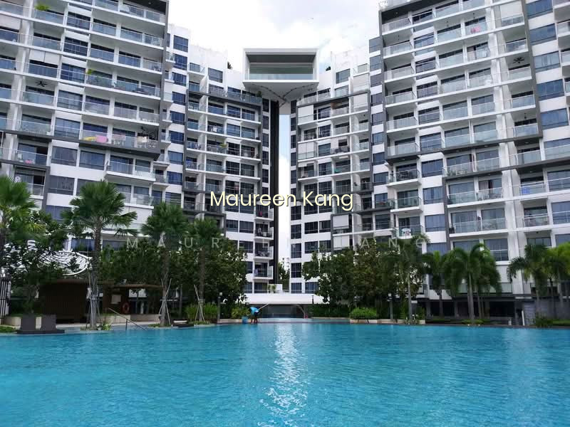SKIES MILTONIA image 1 of 10