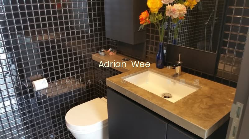 SKYSUITES @ ANSON photo 6