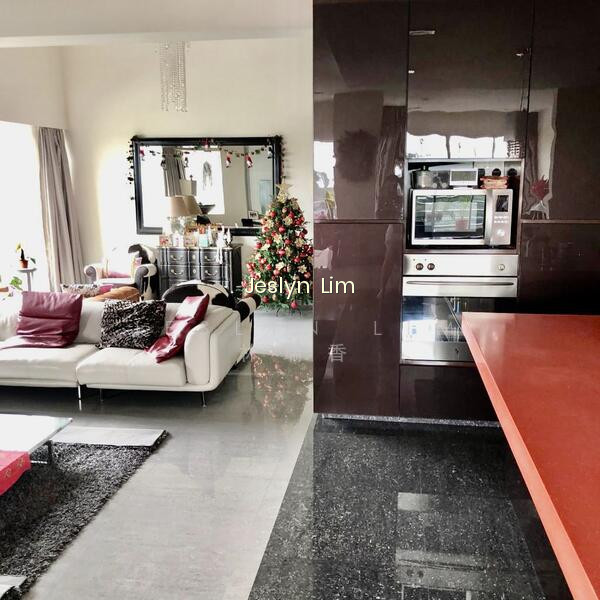 TERESA VILLE photo 5