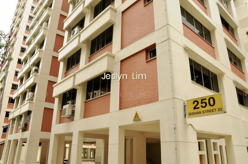271 BISHAN STREET 24 photo 3