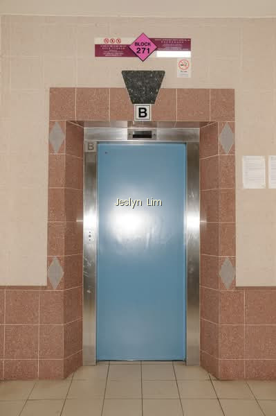 271 BISHAN STREET 24 photo 6