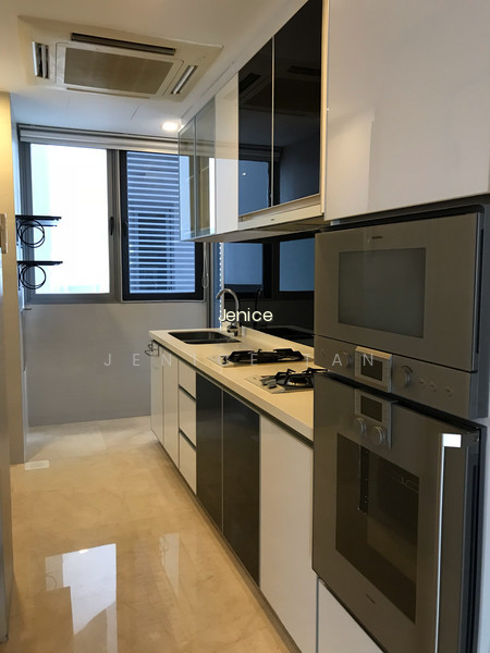 ANGULLIA PARK RESIDENCES @ ORCHARD photo 4
