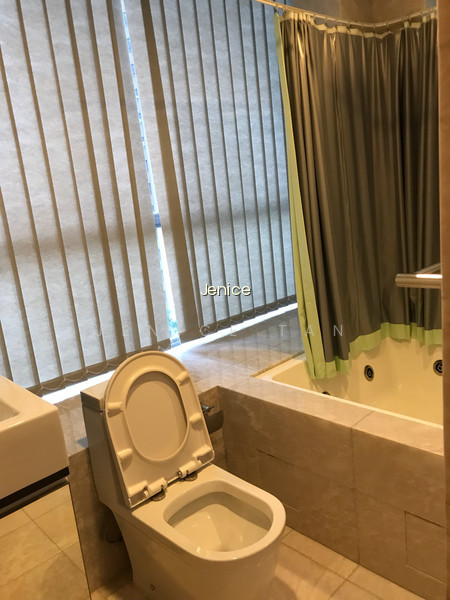 ANGULLIA PARK RESIDENCES @ ORCHARD photo 6