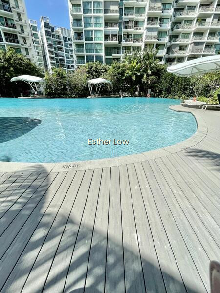 RIPPLE BAY photo 4