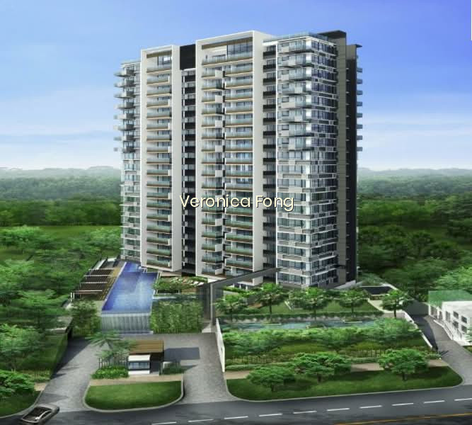 CORALIS photo 6