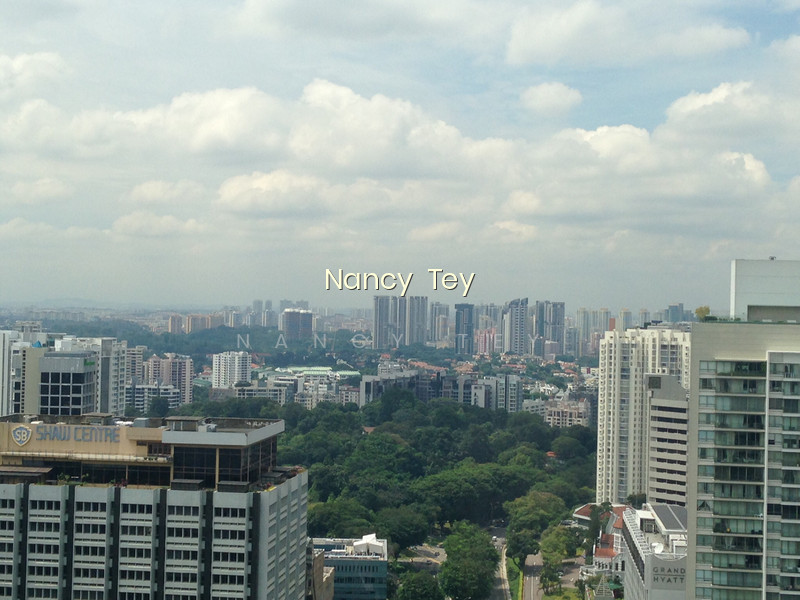 THE ORCHARD RESIDENCES photo 2