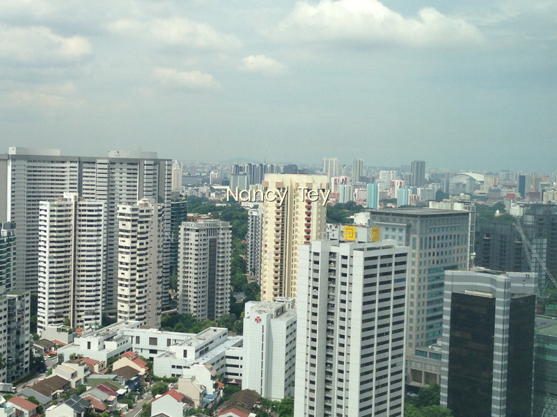 THE ORCHARD RESIDENCES photo 6