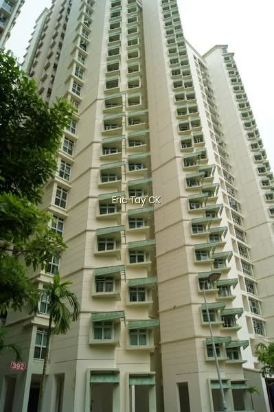 392 BUKIT BATOK WEST AVENUE 5 photo 4
