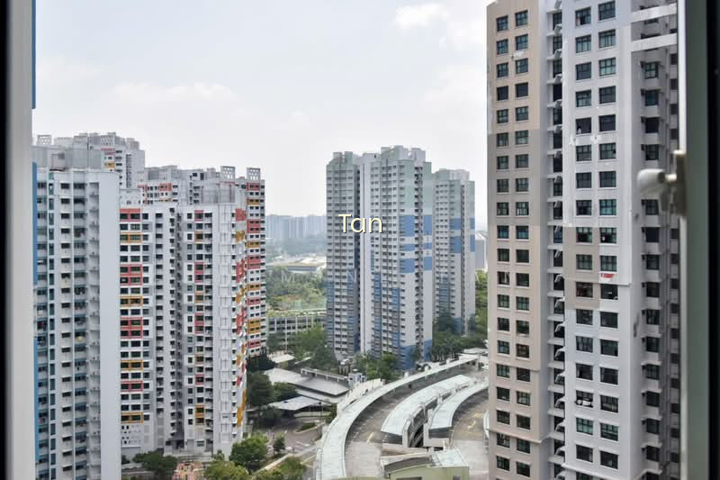 633C SENJA GREEN photo 4