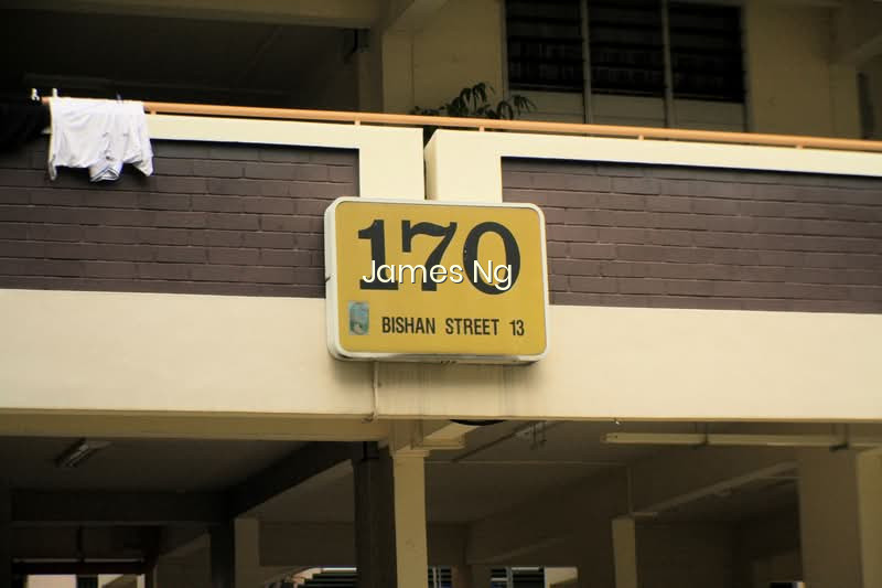 170 BISHAN STREET 13 photo 6