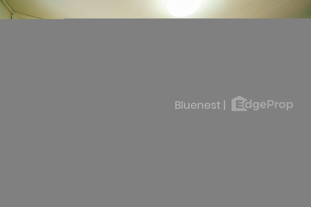 165 STIRLING ROAD photo 6