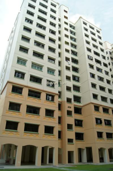 409 SEMBAWANG DRIVE photo 6