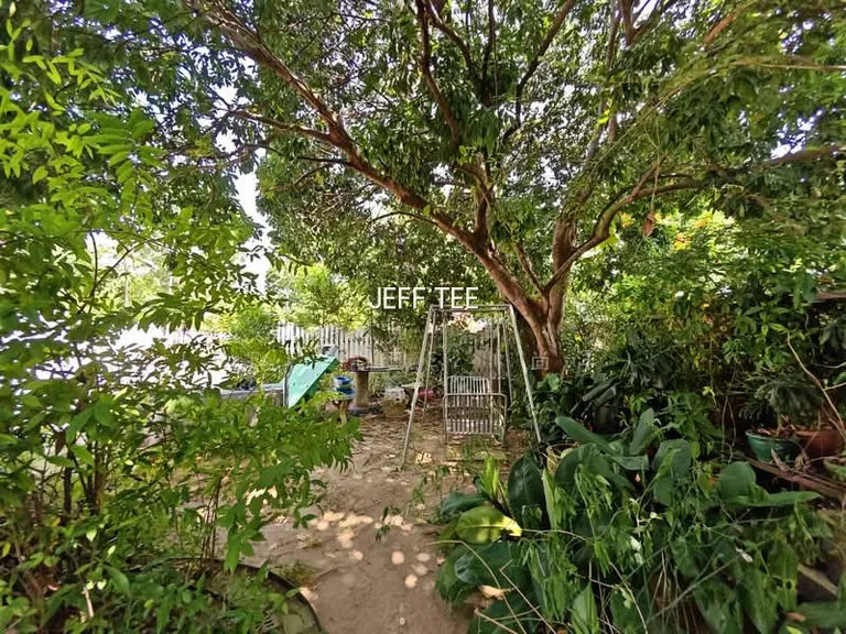 Rebuild Your Dream Semi D Home, Rare Squarish Land Plot, Wide Frontage D16 image 1 of 10