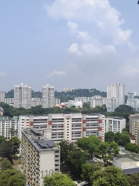 119B KIM TIAN ROAD photo 2