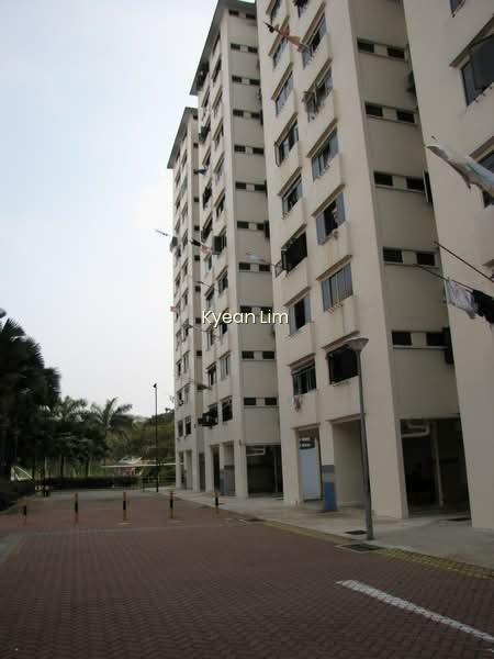 166 STIRLING ROAD photo 6
