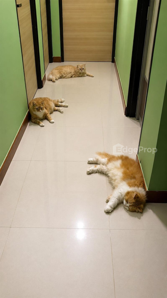 649 PUNGGOL CENTRAL image 1 of 6