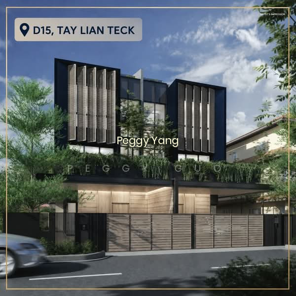 BRAND-NEW FREEHOLD SEMI-D WITH POOL & LIFT @ TAY LIAN TECK, D15 EMINENCE LANDED image 1 of 10