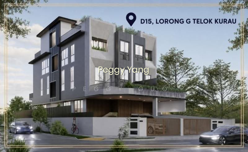 NEW FREEHOLD SEMI-D W LIFT @LOR G TELOK KURAU, D15 EMINENCE LANDED image 1 of 10
