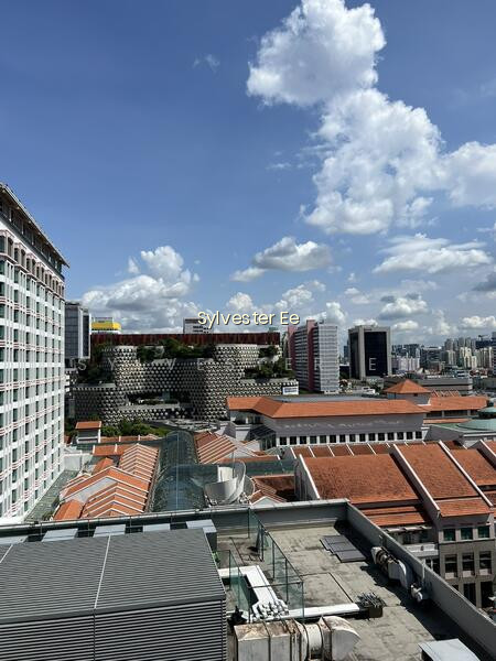 THE M photo 5